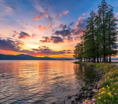 维也纳酒店(大理洱海店)图片