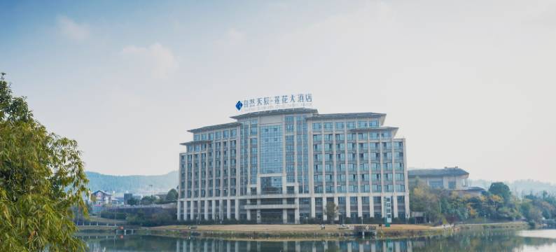 西充自然天辰·莲花大酒店图片