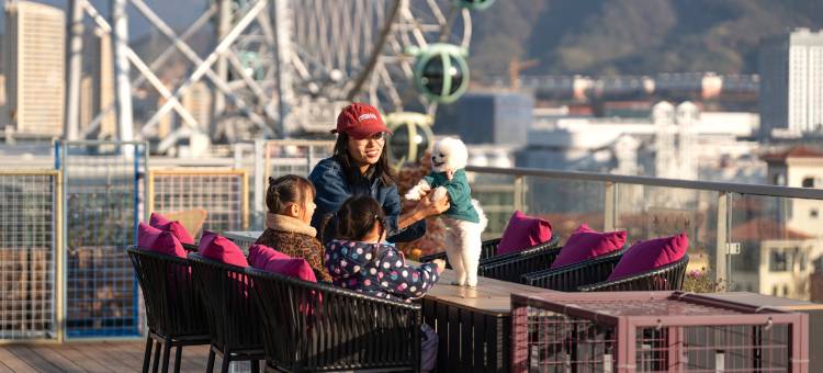 千岛湖银泰君亭酒店(青溪银泰店)图片