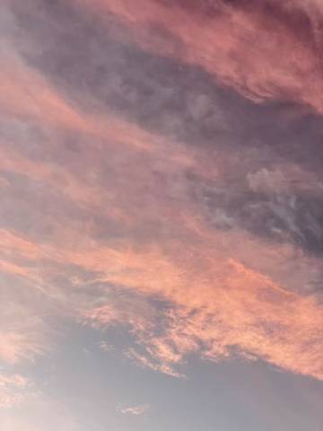 向野而生·荔墅(大理双廊洱海店)图片