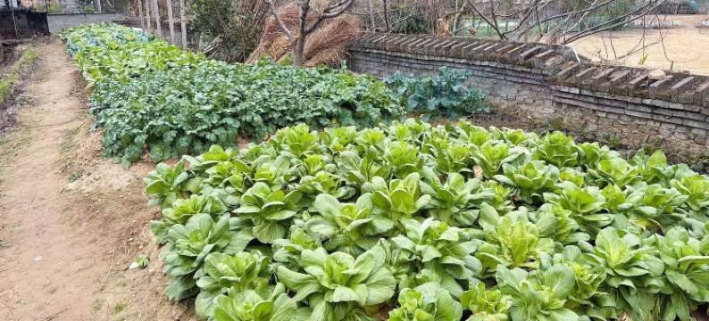 瑶里古镇·茶瓷闲居|SUNSETWMCREEK归居自然美学观山落日度假民宿图片