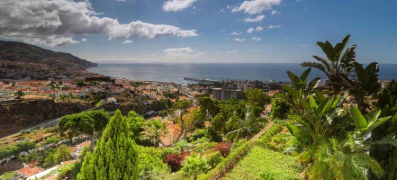 丰沙尔花园别墅 – 限成人(Quinta Funchal Gardens – Adults Only)图片