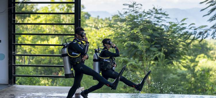 深根潜水和瑜伽度假村(Deep Roots Dive & Yoga Resort)图片