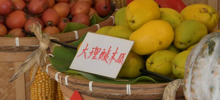 大理古城方舟沐宅客栈图片