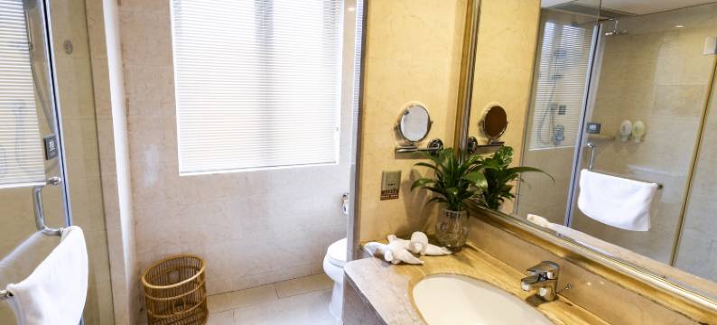 瑞安瑞立大酒店(吾悦广场店)图片