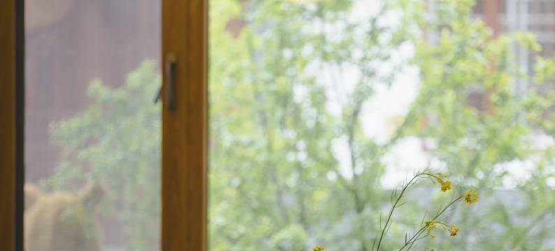 留坝朴匠民宿图片