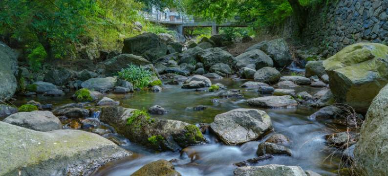 安吉皓竹兮·River半山私汤星空度假民宿图片