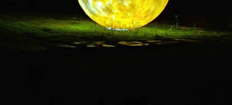 武功山花园酒店(武功山风景名胜区管委会店)图片