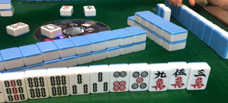 深圳东部华侨城整栋欧式别墅图片