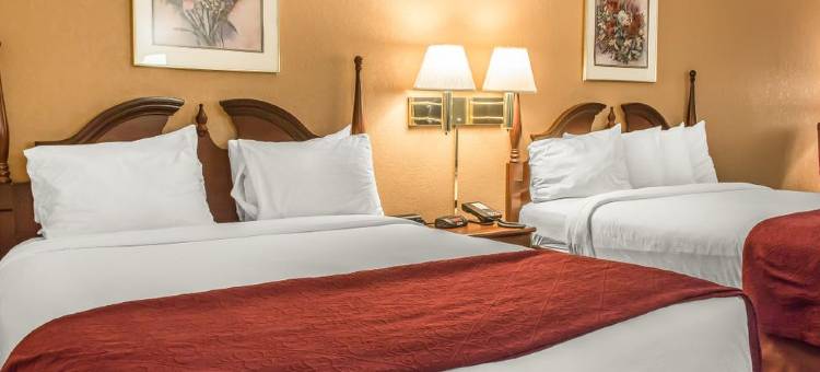 波科诺斯费尔布里奇套房酒店(FairBridge Inn & Suites Poconos)图片