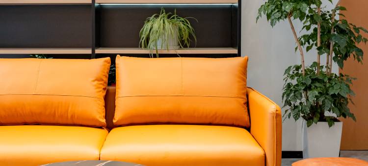 布丁精选酒店(苏州工业园区奥体中心店)图片