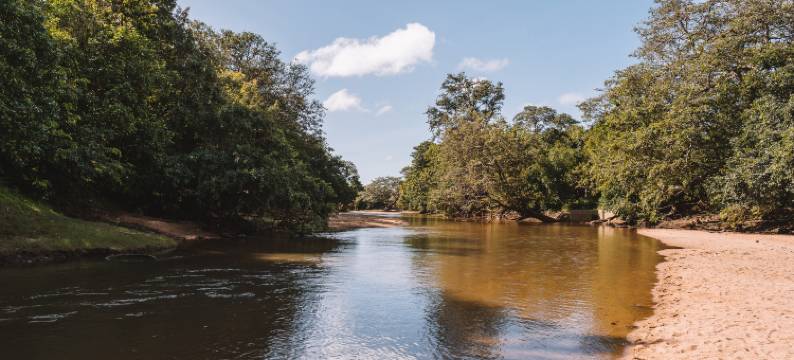 亚拉大型游戏酒店-生态团队(Big Game - Yala By Eco Team)图片