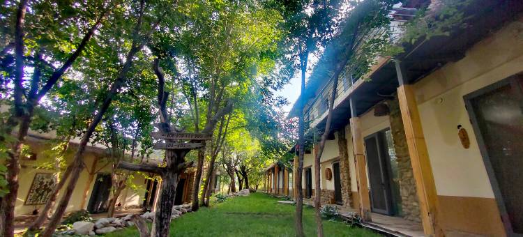 贺兰山岩画古村古树林民宿图片