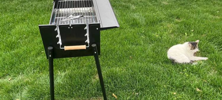 花筑·崇明玥庭·时光里民宿(奚家港店)图片