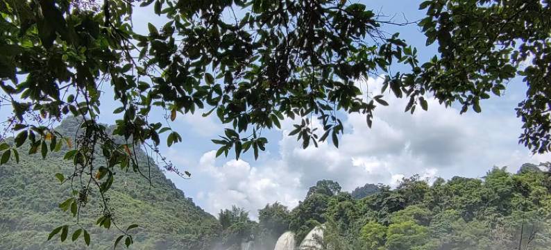 大新水云间客栈图片