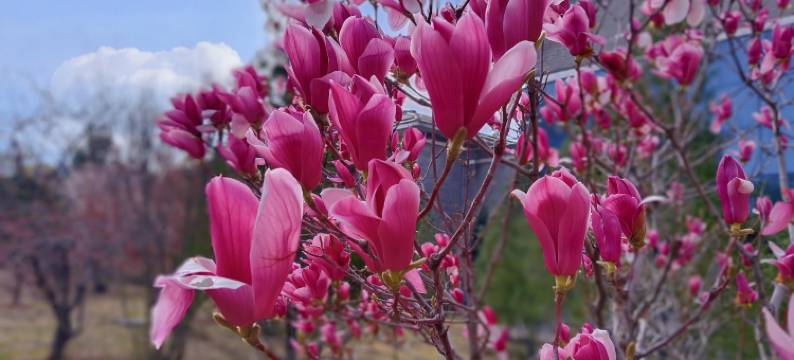 灵石宏源休闲会馆(王家大院店)图片