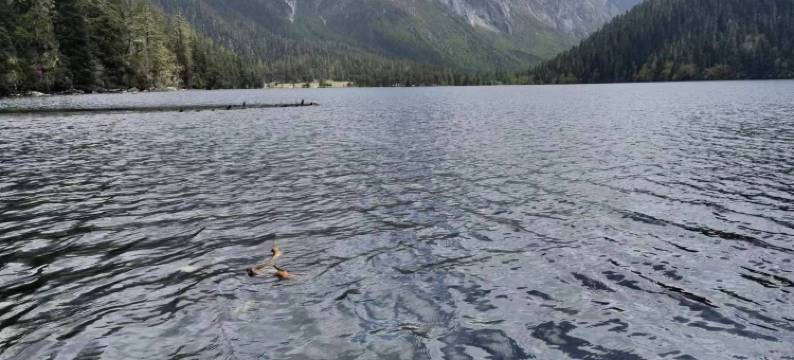 九龙吉日格宗酒店图片