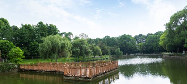 成都新皇城大酒店图片