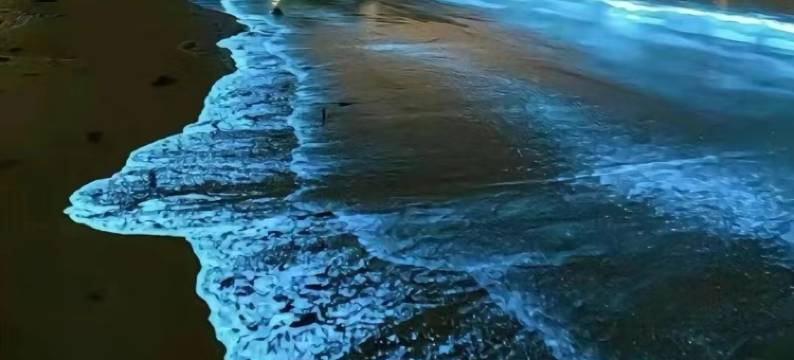 平潭蓝色邀约民宿(坛南湾七号沙滩)图片