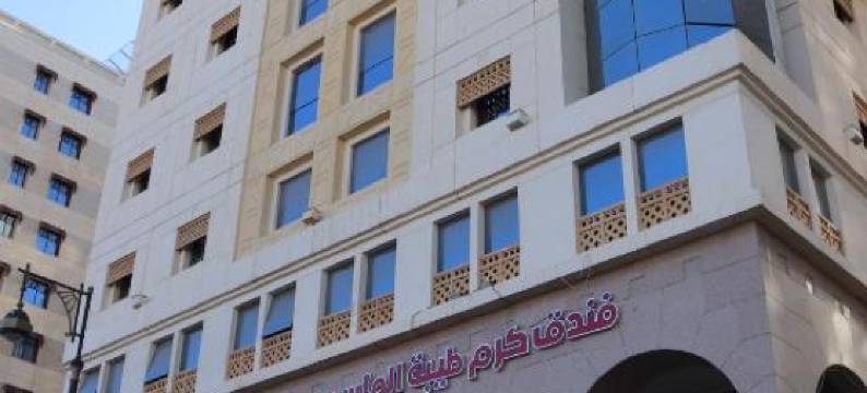 卡拉姆泰巴阿尔马西酒店(Karam Taibah Almasi)图片