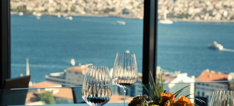 伊斯坦布尔洲际酒店(InterContinental Istanbul)图片