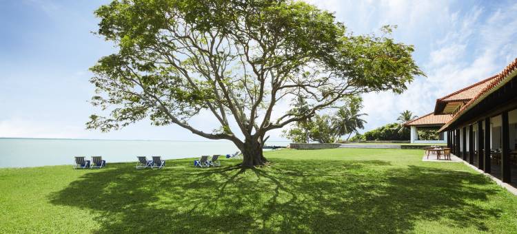 谧境翼居-成人专属疗愈泻湖酒店(Jetwing Lagoon Wellness, A Luxury Reserve - Adults Only)图片