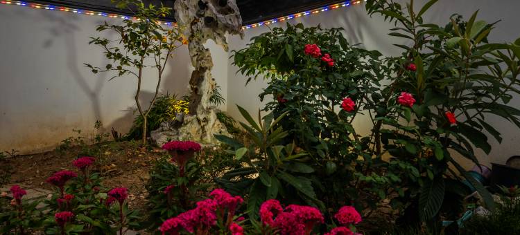 苏州太湖风栖民宿(西山岛景区店)图片