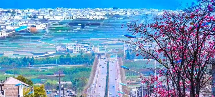 小鹿辰客花园民宿(大理洱海生态廊道店)图片