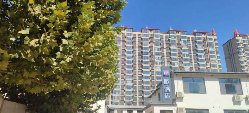 派酒店(晋州市中兴路店)图片