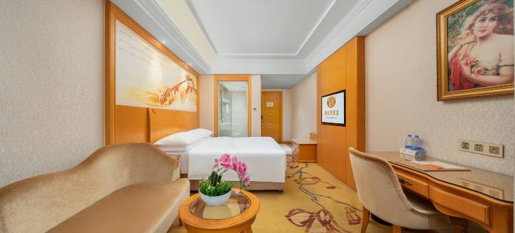 维也纳酒店(北海高铁站店)图片