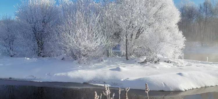 凇园宾馆(逊克大平台雾凇风景区店)图片