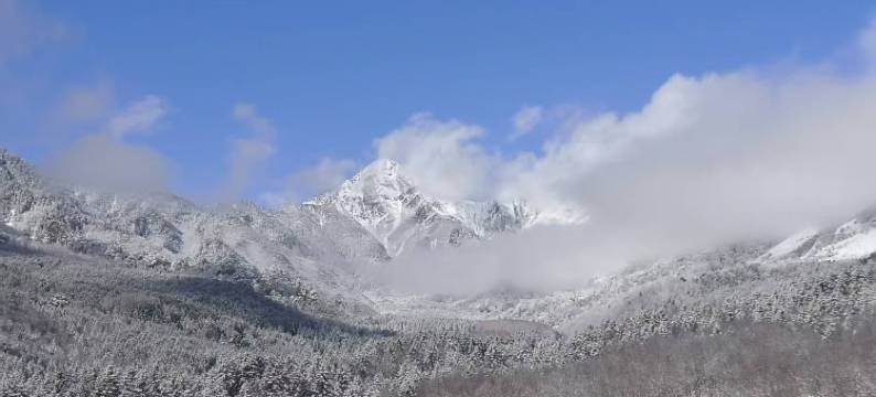 宝兴生态主题酒店图片