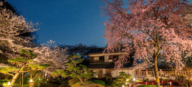 樱泉会馆(Oukai Villa Izumi)图片
