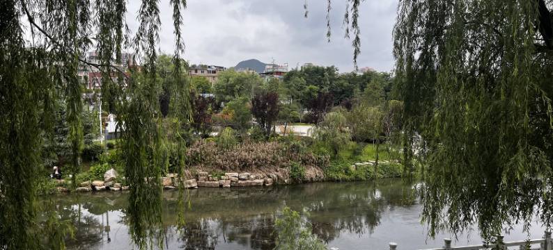 美著.美宿滨江民宿图片