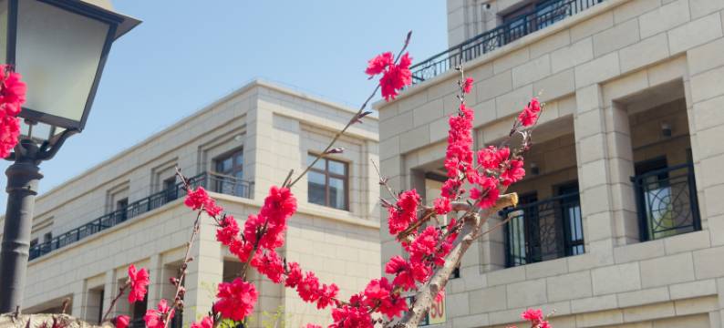 北京观山同创民宿图片