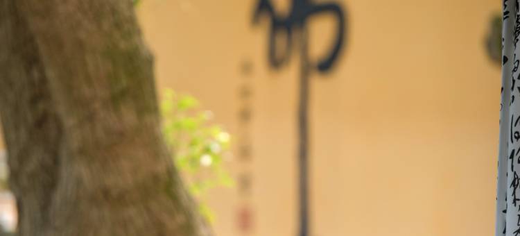 普陀山观堂酒店图片