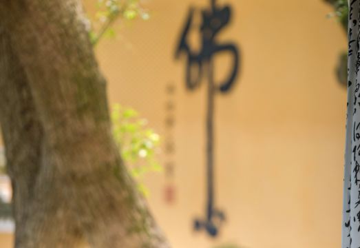 普陀山观堂酒店外景图