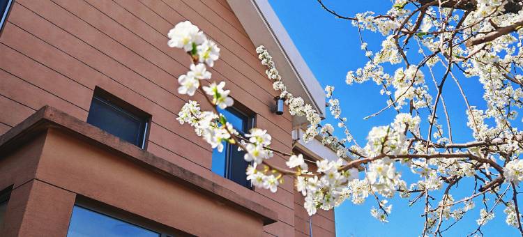 呼和浩特东河宾馆(内蒙古国际会展中心万达广场店)图片