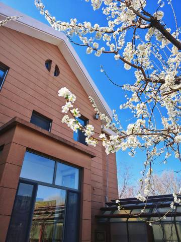 呼和浩特东河宾馆(内蒙古国际会展中心万达广场店)图片