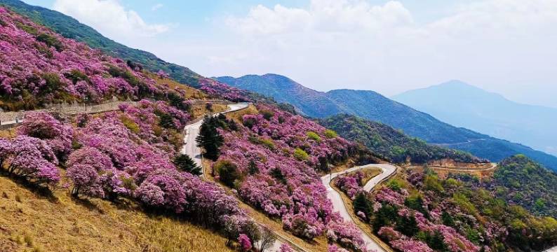 禄劝轿子山大酒店图片