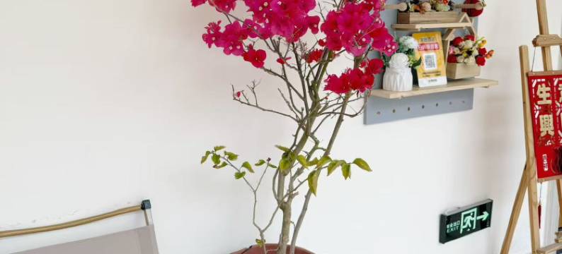 宿迁玺爱民宿(耿车镇店)图片