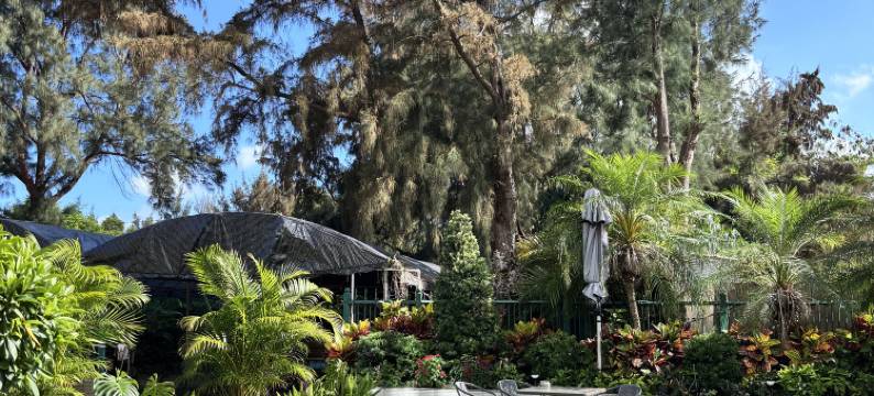 惠州惠东双月湾天天花园民宿图片