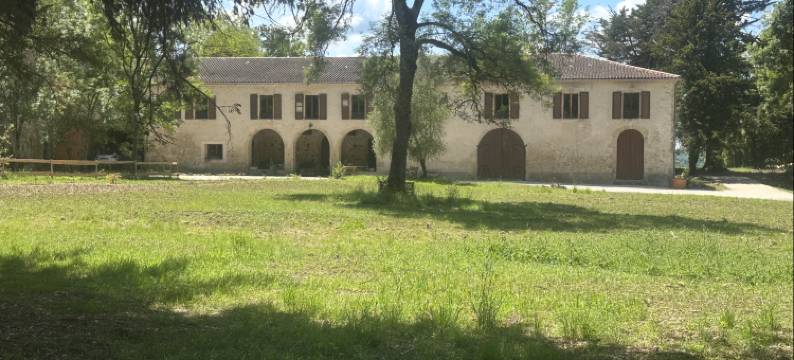 塞利纳图拉(Celinatura)图片