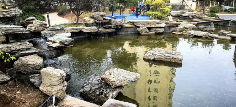 橙栖海景民宿图片