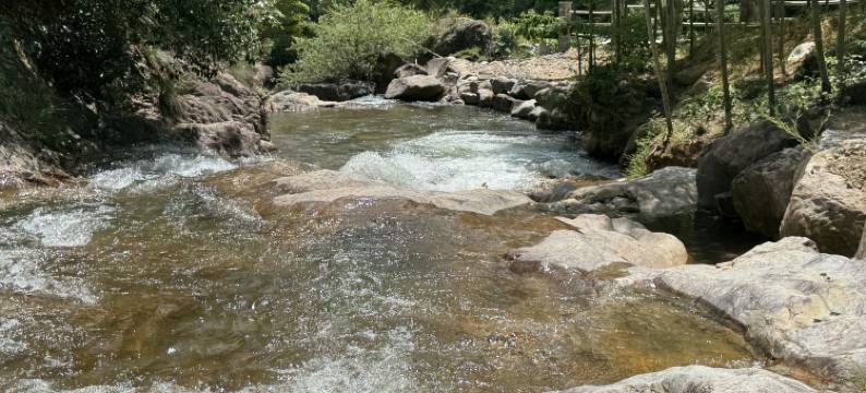 安吉长潭·先生的院子·温汤池民宿(龙王山峡谷漂流店)图片