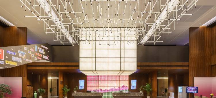 星龙国际酒店(乌鲁木齐天山国际机场店)图片