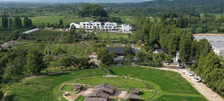 安吉尧珈·山禾稻度假酒店图片