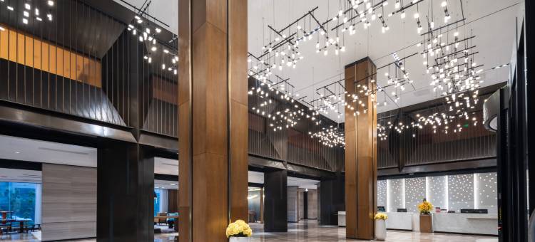 南昌青山湖万达颐华酒店图片