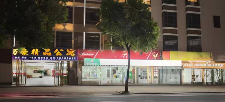 汕头万豪精品公寓(潮阳和平店)图片