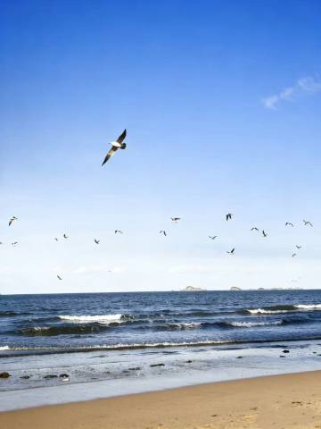 汉庭酒店(烟台二马路海水浴场店)图片
